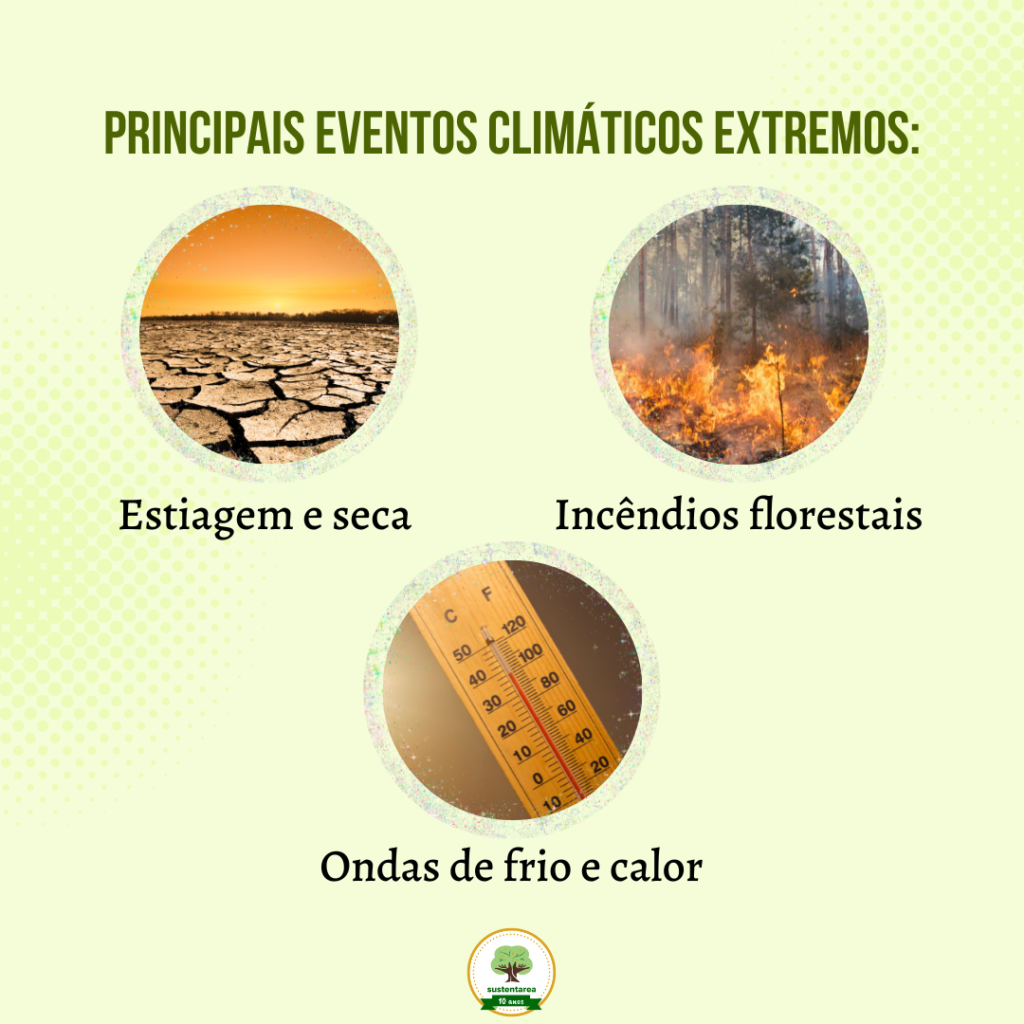 O Que S O Eventos Clim Ticos Extremos Sustentarea