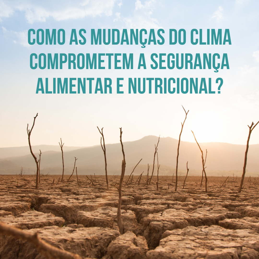 Como as mudanças no clima comprometem a segurança alimentar e