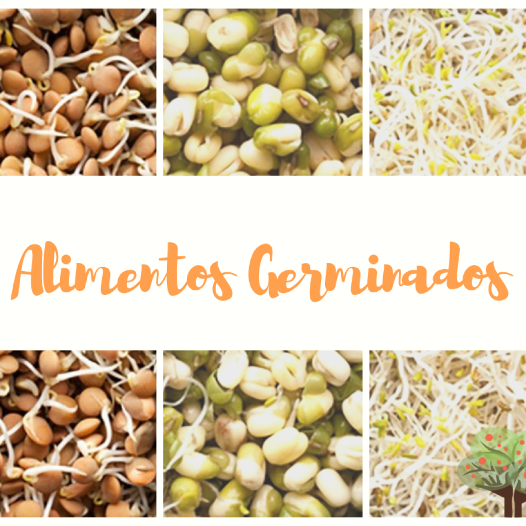 ALIMENTOS GERMINADOS