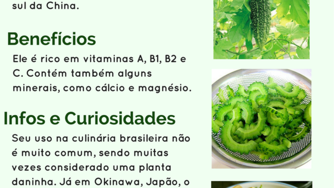 9 benefícios do melão (com receitas saudáveis) - Tua Saúde