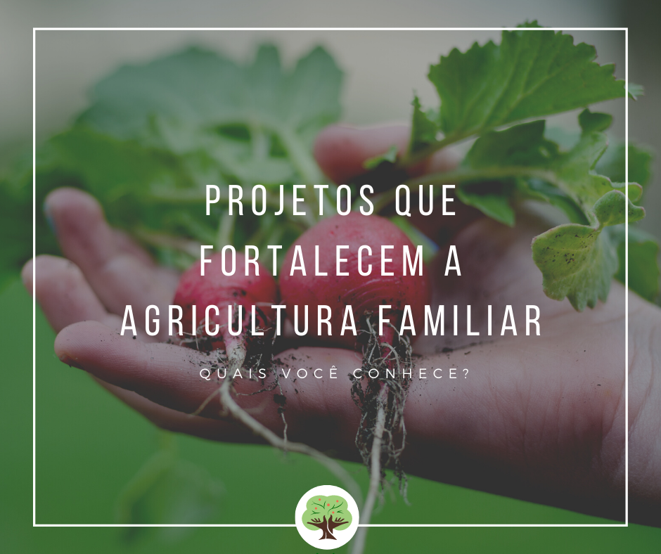 Projetos Que Fortalecem A Agricultura Familiar Sustentarea 3322