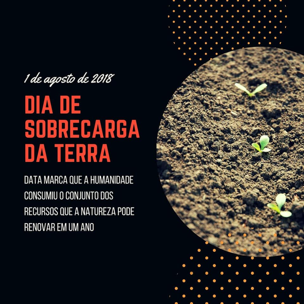 sobrecarga terra 1