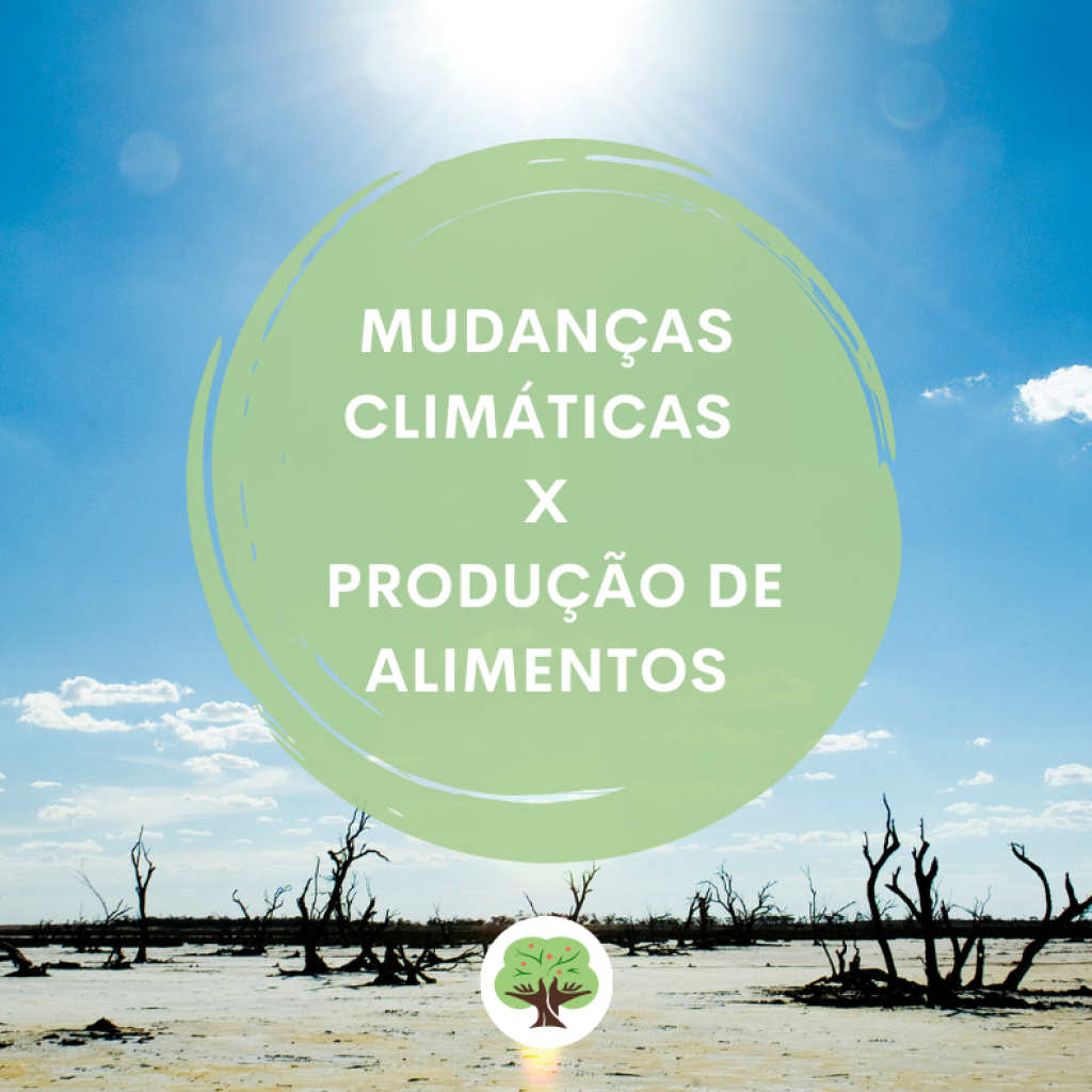 Não mover - Redimensionar para o site (10)
