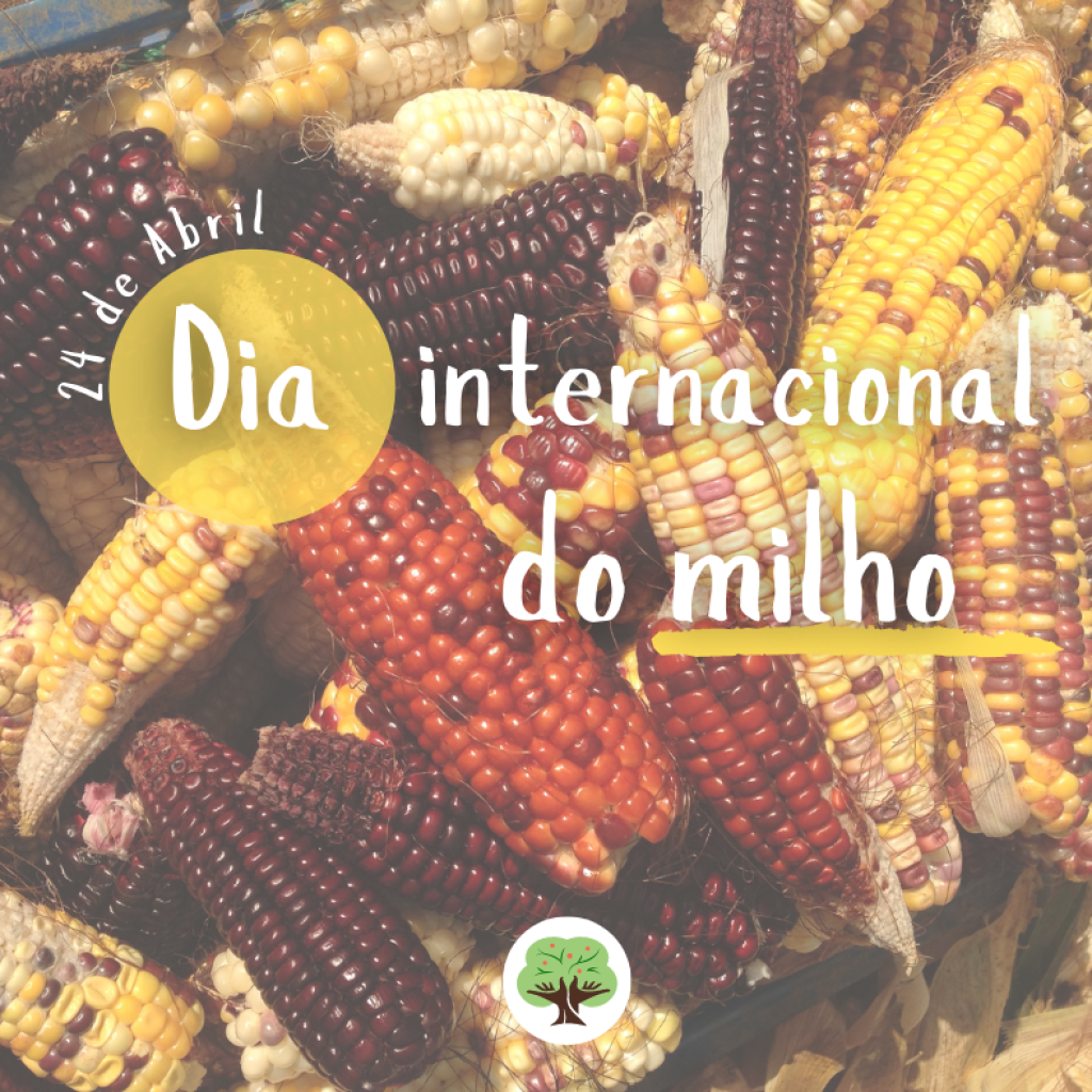 Comemorativo - Dia Internacional do Milho - Site