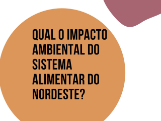 Impacto-ambiental-do-sistema-alimentar-do-Nordeste-Apresentacao-169