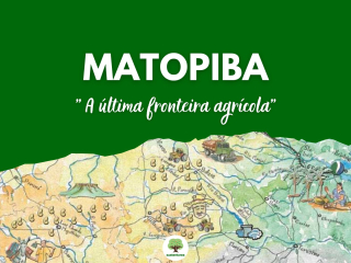 MATOPIBA-Apresentacao-169