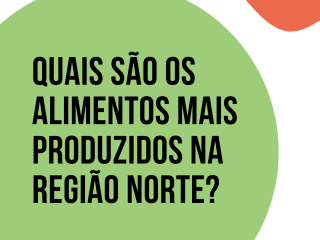 QUAIS SÃO OS ALIMENTOS MAIS PRODUZIDOS NA região norte