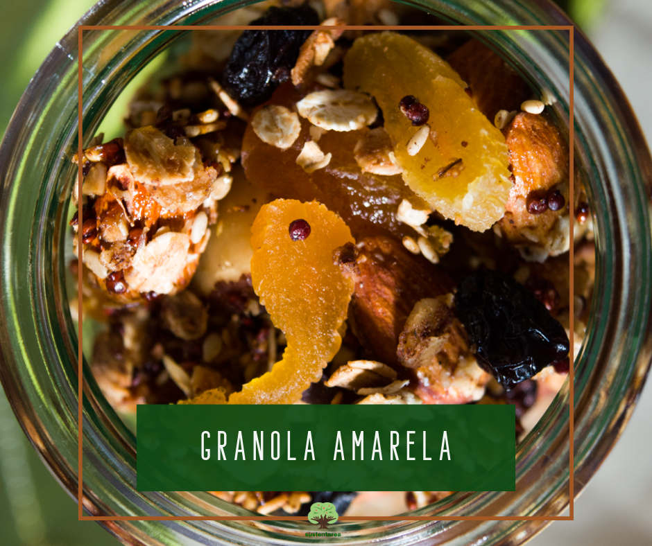 Receita: Snack de granola - Rede Novo Tempo de Comunicação