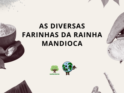 As diversas farinhas da Rainha Mandioca (8)